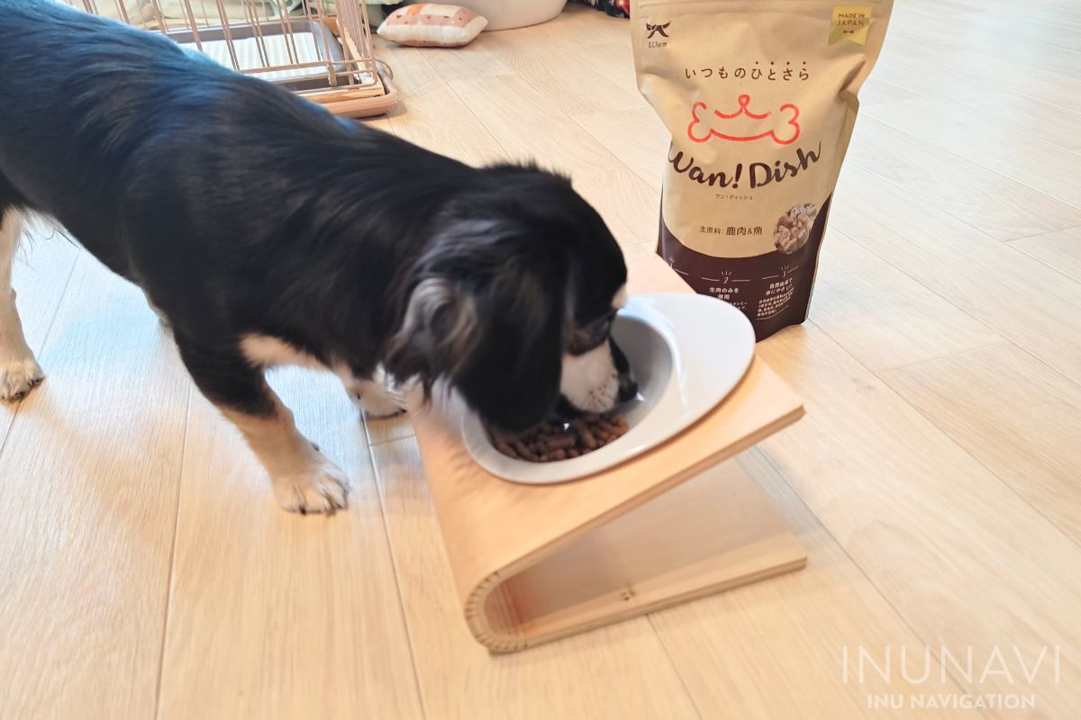 ワンディッシュ(Wan!Dish)　を食べる愛犬 (3)